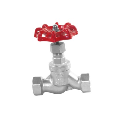 Stainless Steel High Quality  female threaded Global Valve