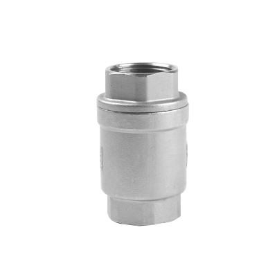 Non Return High Quality  Spring Vertical  Female Threaded Check Valve