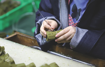 Wax Mould Repairing